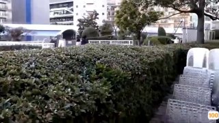 草莓 新任女教师的深夜探访 安娜
